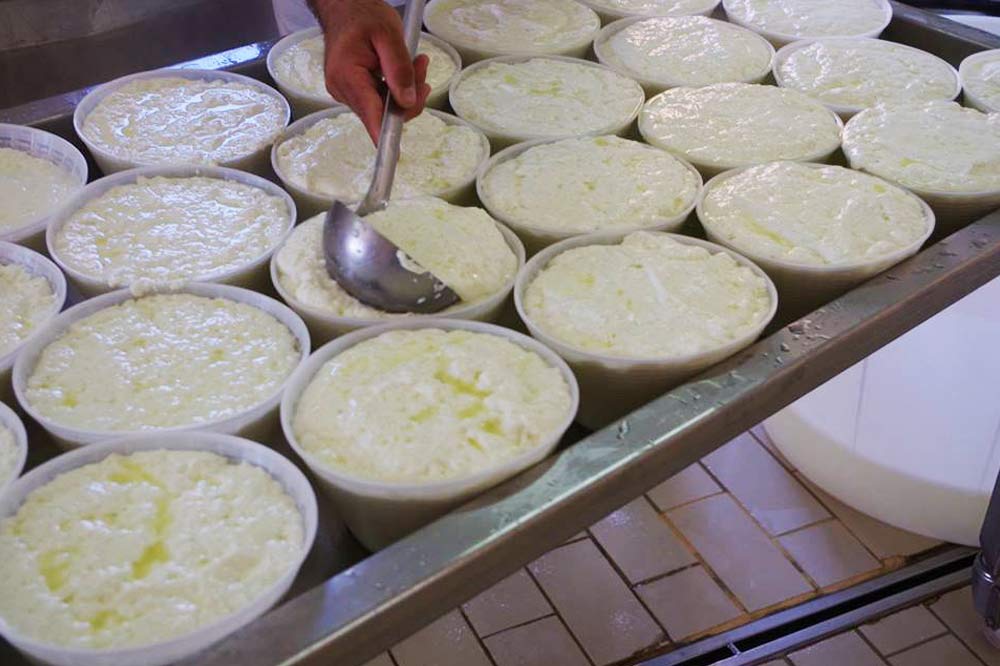 Dégustation de fromages et visite d'une laiterie à Marsala-image-6