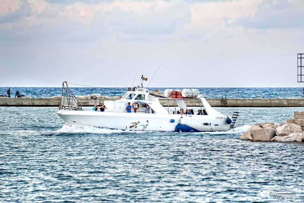 Giro in barca in motonave tra le calette della Riserva dello Zingaro e i Faraglioni di Scopello-image-7