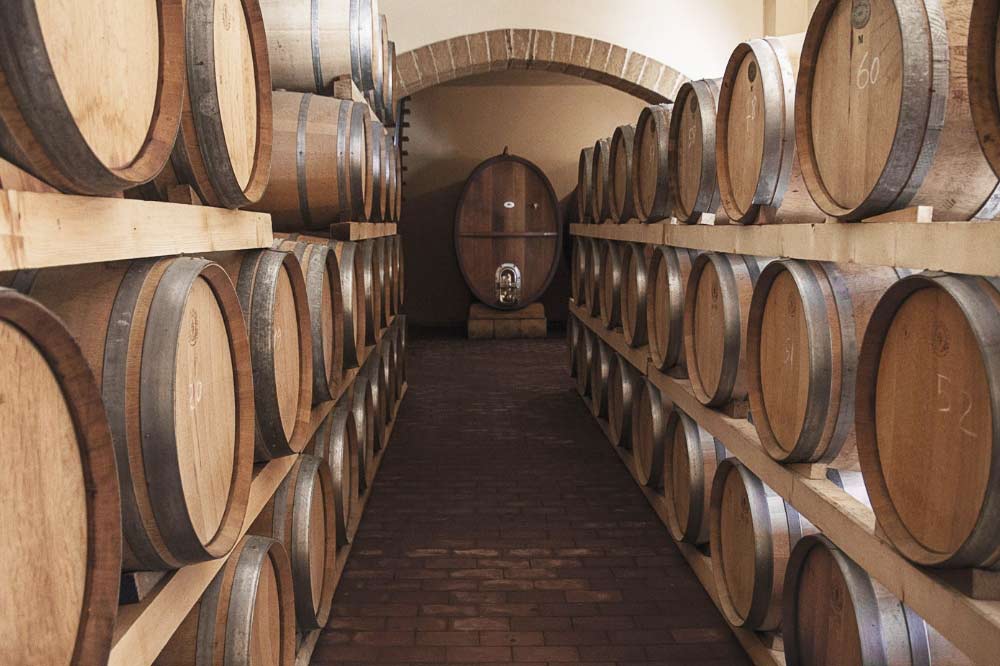 Dégustation de vin dans la cave avec promenade dans le vignoble de l'arrière-pays de Palerme-image-4