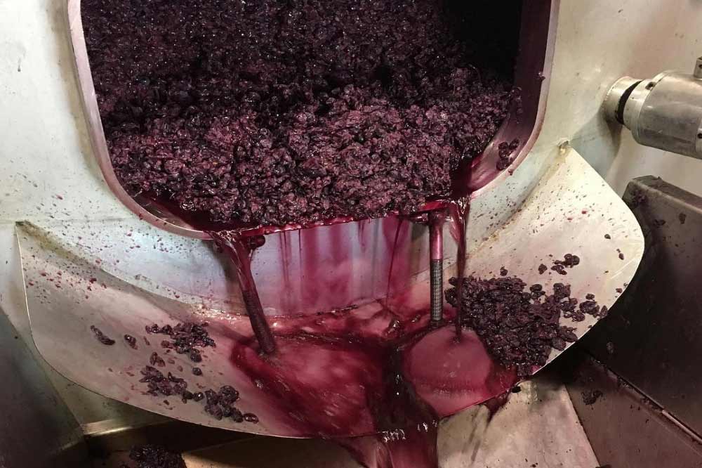 Degustazione di vino in cantina con passeggiata in vigna nell'entroterra Palermitano-image-8