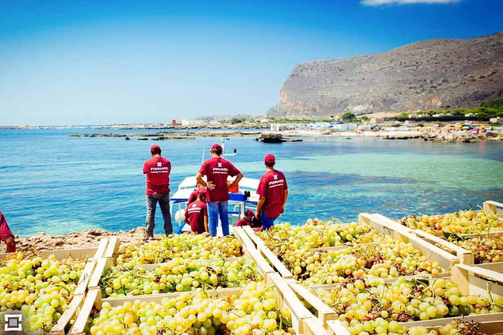 Tra i vigneti ed il mare di Favignana: una straordinaria degustazione del miglior vino delle Isole Egadi-image-4