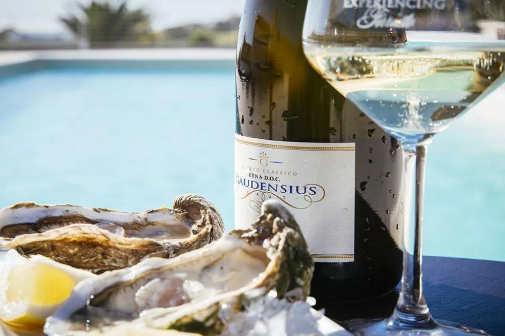 Tra i vigneti ed il mare di Favignana: una straordinaria degustazione del miglior vino delle Isole Egadi-image-8