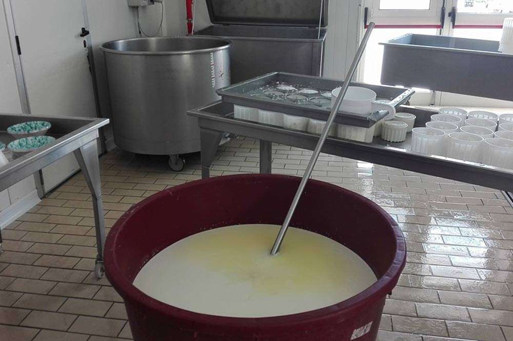 Tour of a cheese factory and cheese tasting in Marsala-image-5