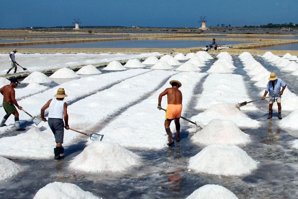 Visit to the salt pans of Marsala, tasting and harvesting of salt in the vicinity of Trapani-image-6