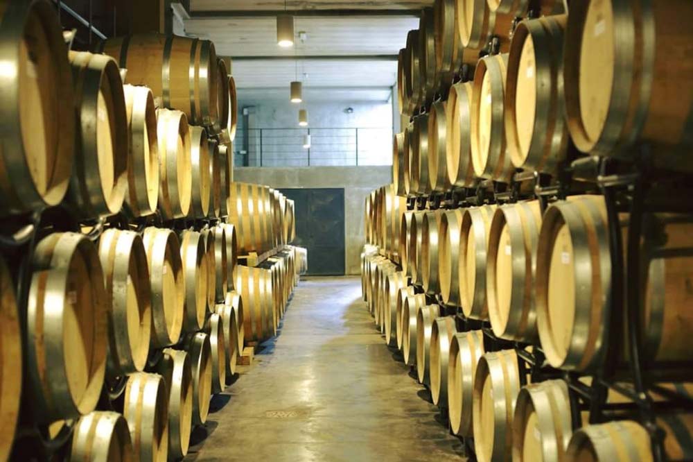 Visita in cantina alla scoperta dei vini doc di Ragusa con degustazione di prodotti tipici biologici a km 0-image-4