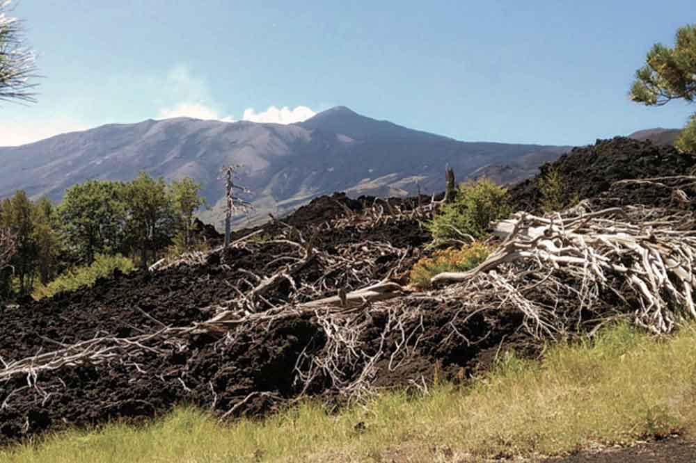 Etna incontaminata - Trekking in natura-image-9