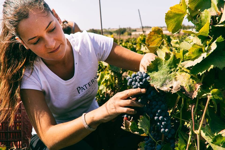 Cantina Marilina Noto 1