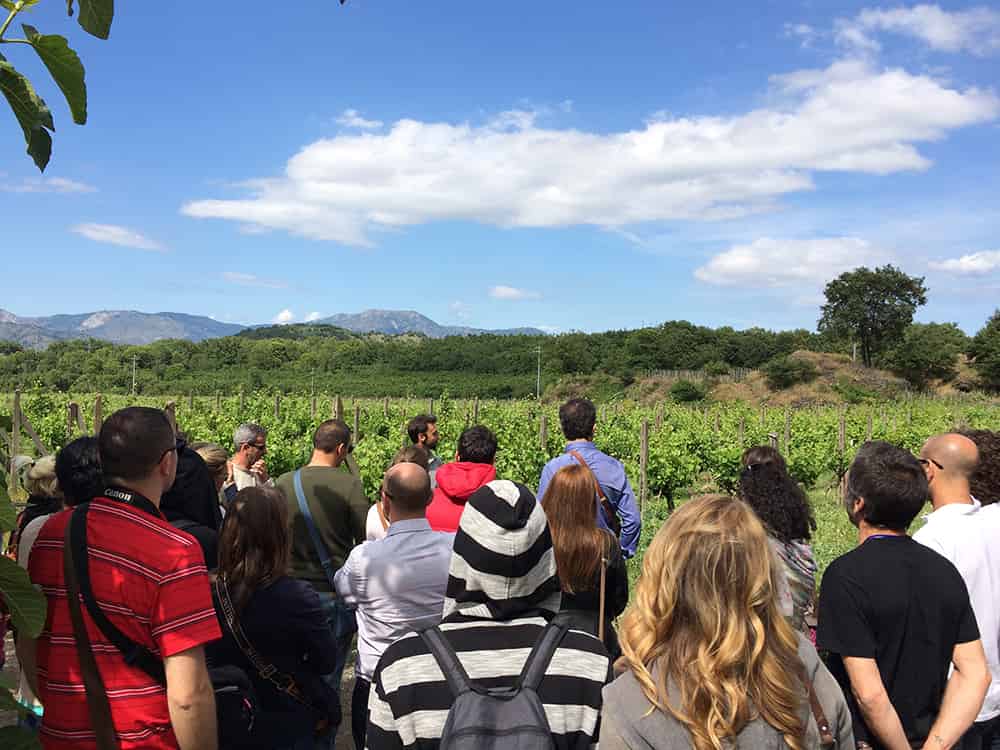 Turytrip Treno dei vini Etna 2