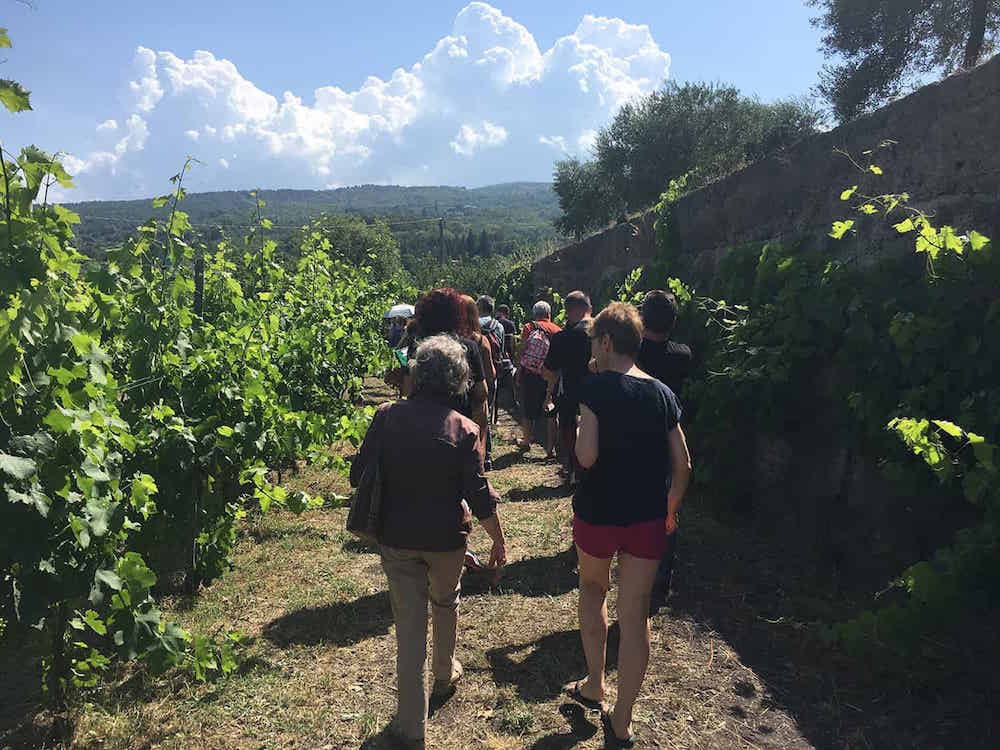 Turytrip Treno dei vini Etna 5
