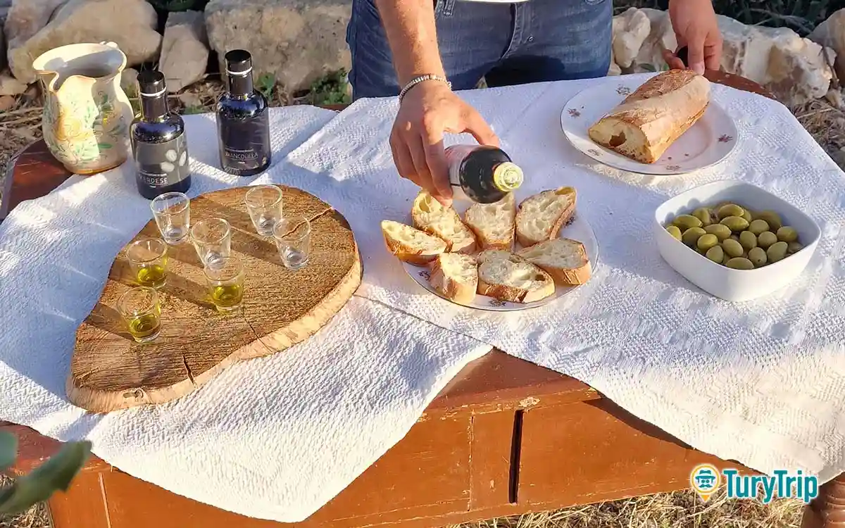 OIL TASTING RAGUSA LOGO