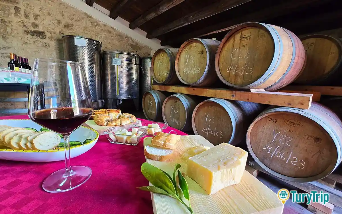 WINE TOUR RAGUSA TASTING LOGO
