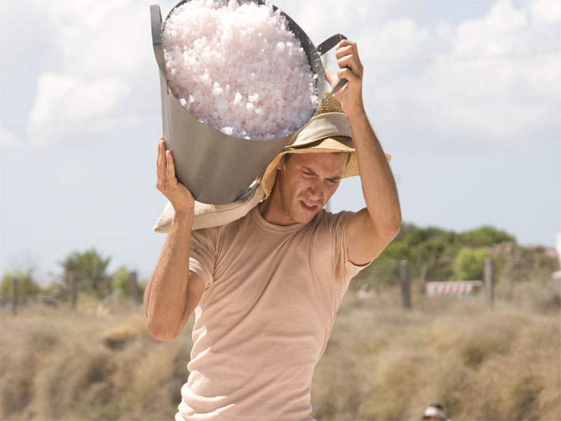 muse del sale trapani raccolta