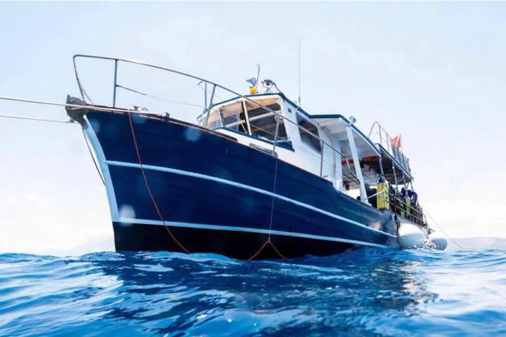 Boat trip from Mondello to the Capo Gallo Nature Reserve-image-4