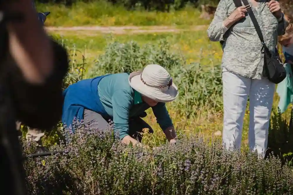Demo cooking e degustazione di prodotti tipici nel Ragusano-image-5