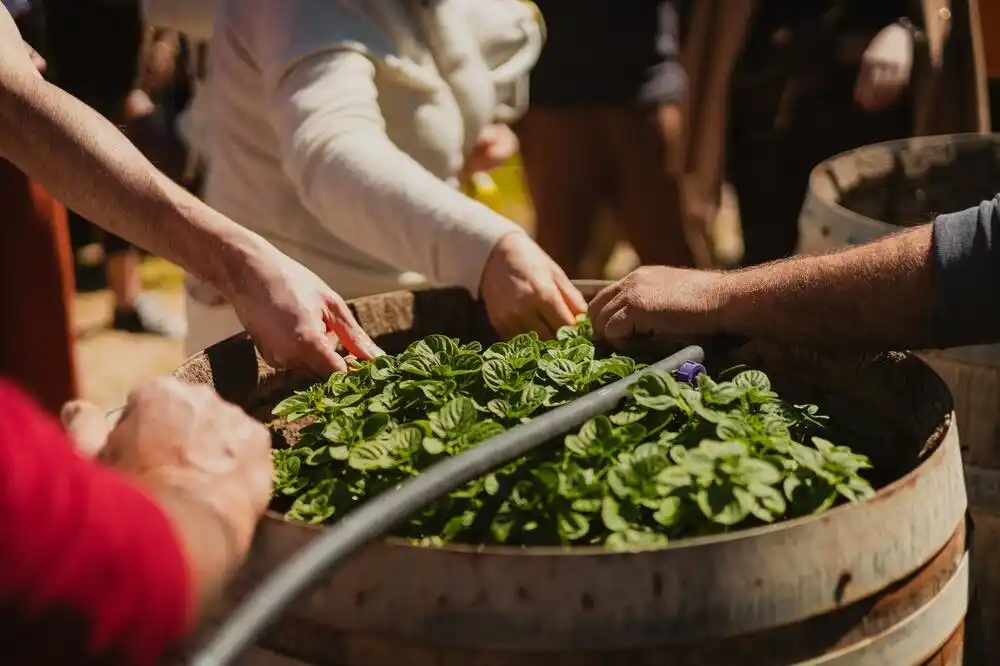 Demo cooking e degustazione di prodotti tipici nel Ragusano-image-6